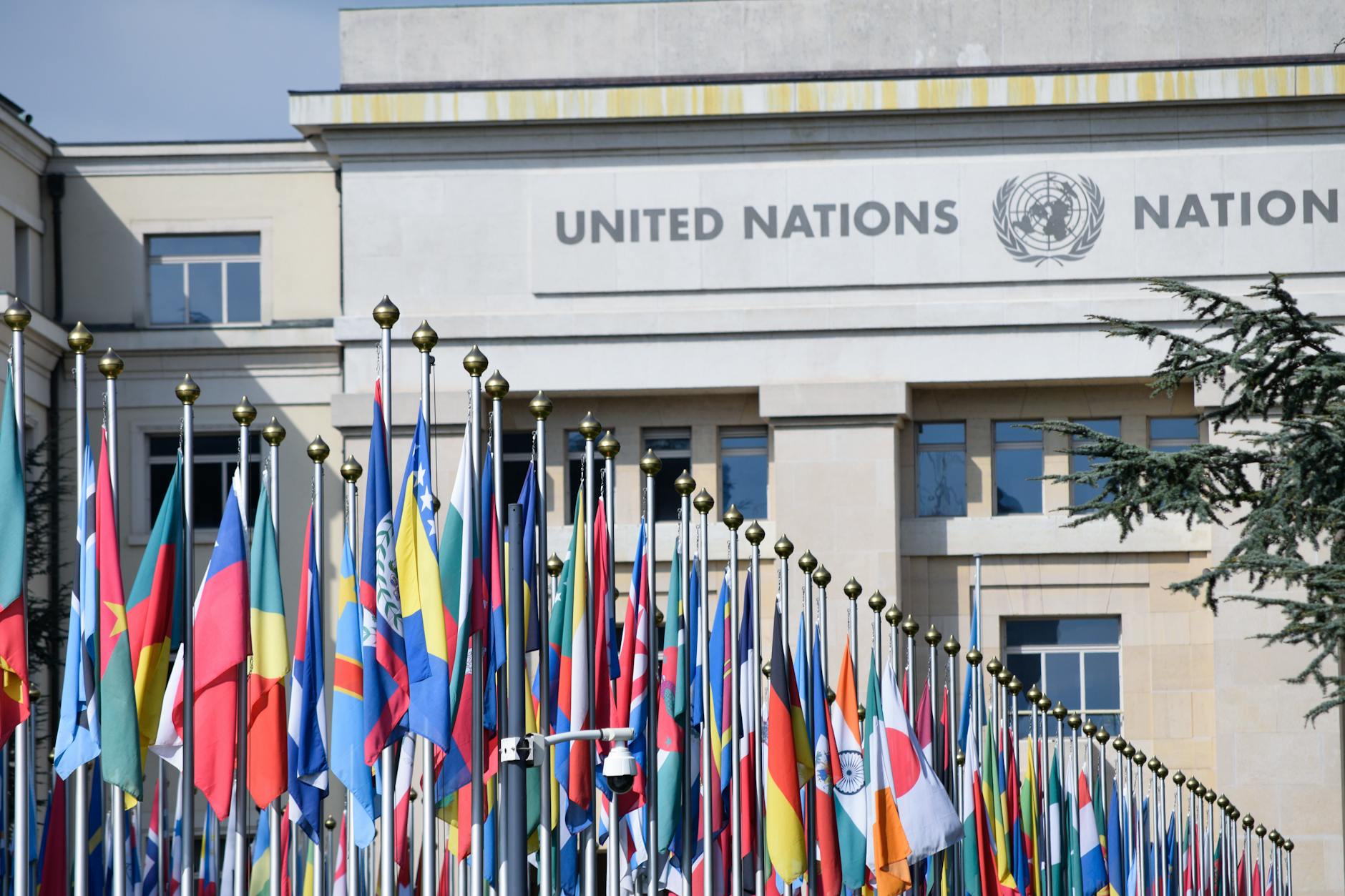 flags of countries in front of the united nations office at geneva