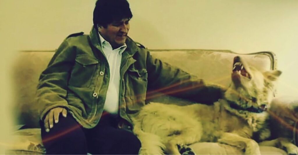 Lee más sobre el artículo Fiscalía de Bolivia libera orden de detención contra Evo Morales