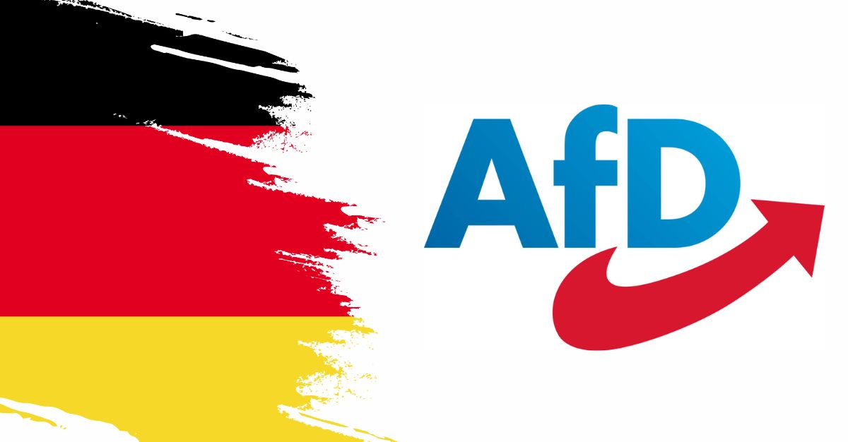 En este momento estás viendo Elon Musk defiende al partido ultraderechista AfD de Alemania