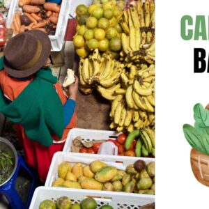 Lee más sobre el artículo Profeco: Canasta básica, a menos de 910 MXN en todo México