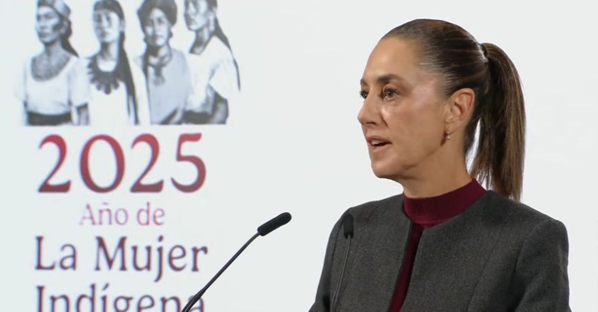 En este momento estás viendo Morena irá en alianza con PT y PVEM en las Elecciones Intermedias 2027